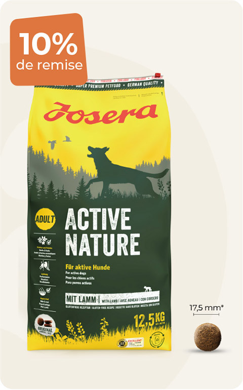 Pour chien qui se dépense  12,5kg