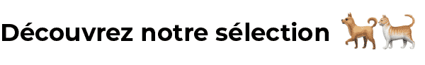Découvrez notre sélection