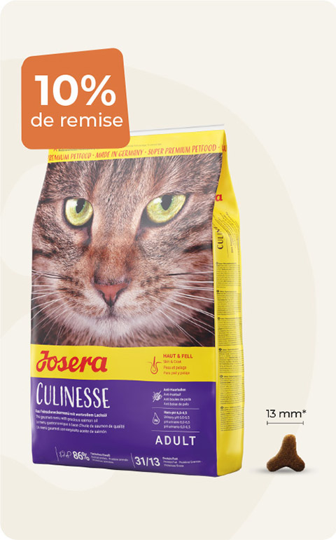 Pour chat adulte  et stérilisé 10kg