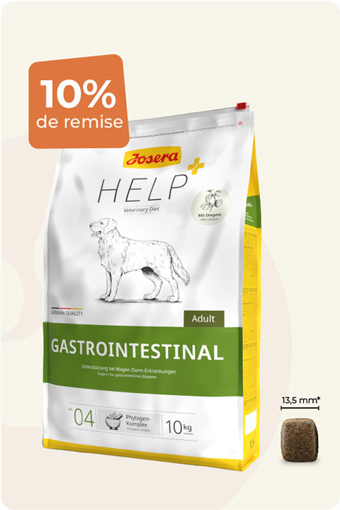 Pour chien adulte  souffrant de troubles  gastro-intestinaux   10kg
