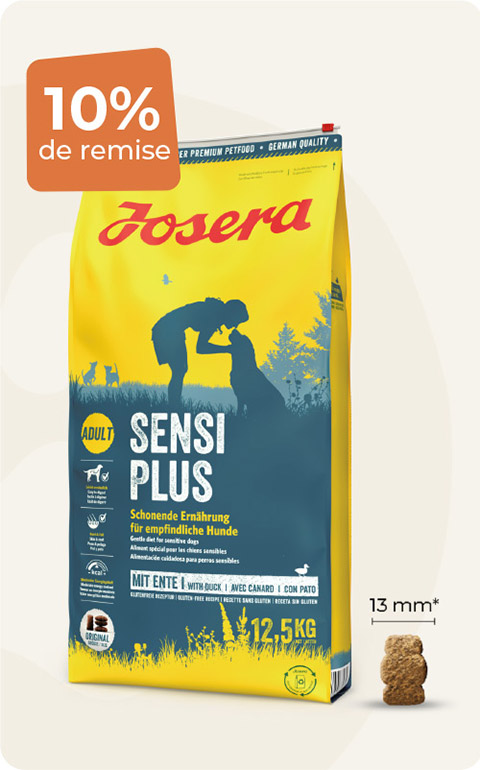 Pour chien adulte  12,5kg