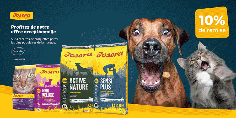 Profitez de notre offre exceptionnelle